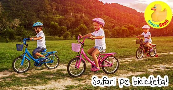 Safari pe bicicleta