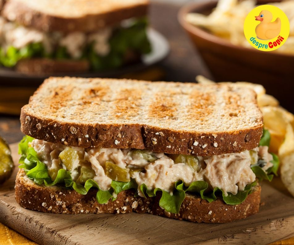 Sandwich clasic cu ton: cremos, gustos si rapid