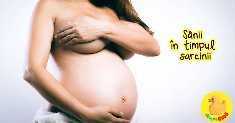 Sanii in timpul sarcinii