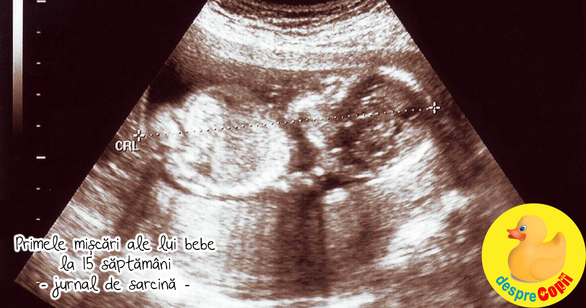 Primele miscari ale lui bebe au aparut la 15 saptamani - jurnal de sarcina