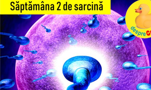 De ce dispare apetitul sexual - sapte intrebari si raspunsuri