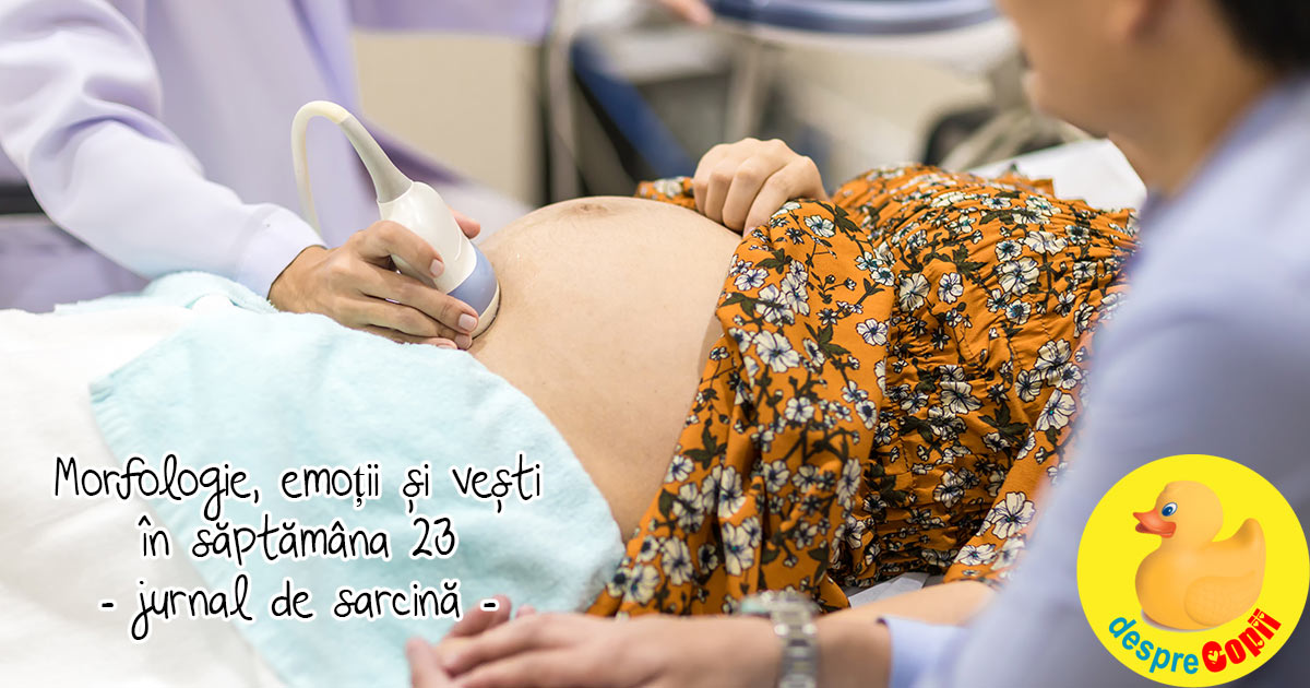 Morfologie, emotii si vesti in saptamana 23 - jurnal de sarcina