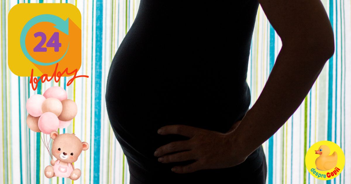Saptamana 24 -  Morfologia din trimestrul doi si o bebelusa timida - jurnal de sarcina