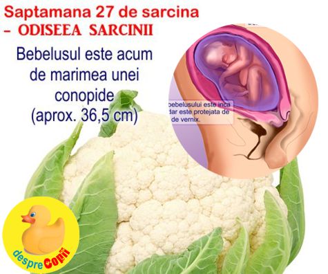 Saptamana 27 de sarcina