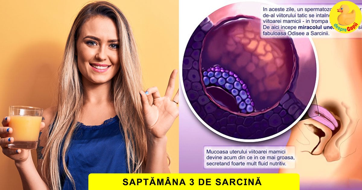 sarcina 3 saptamani dureri