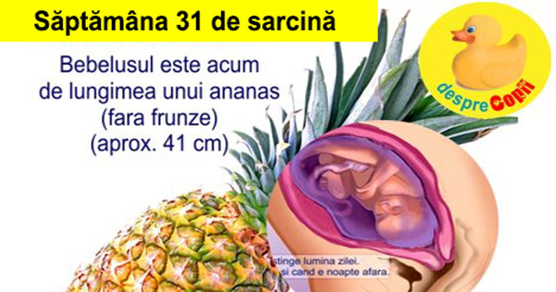 Ananas in sarcina forum