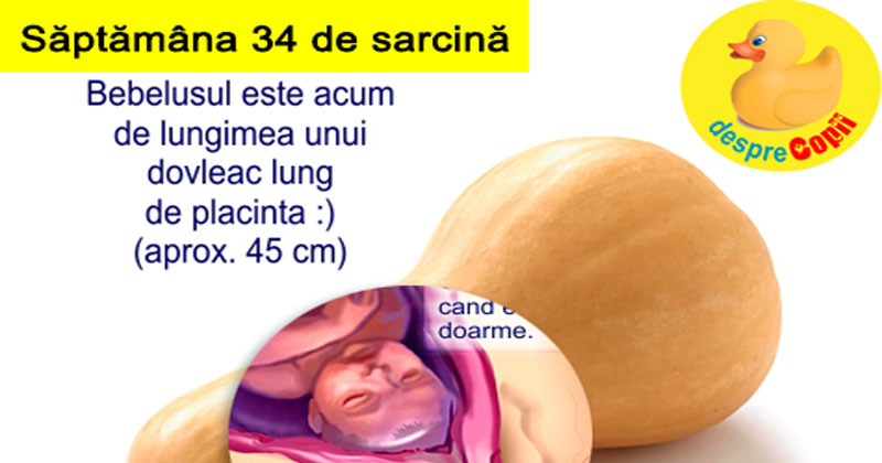 Saptamana 34 De Sarcina Cu Video Desprecopii Com Saptamana 34 De Sarcina Cu Video Desprecopii Com