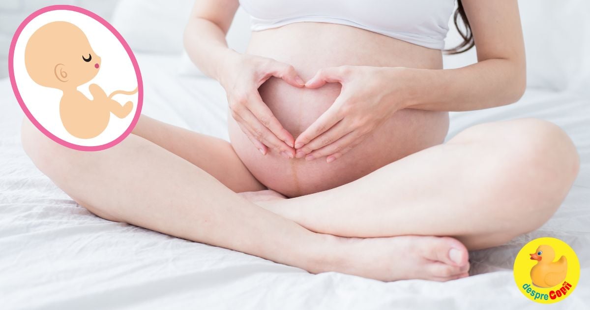 Saptamana 35: Asa comunic eu cu bebe - jurnal de sarcina