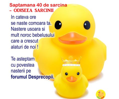 Saptamana 40-a de sarcina