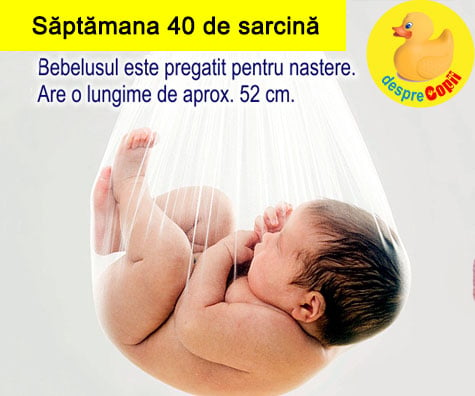 Saptamana 40 de sarcina (cu VIDEO)