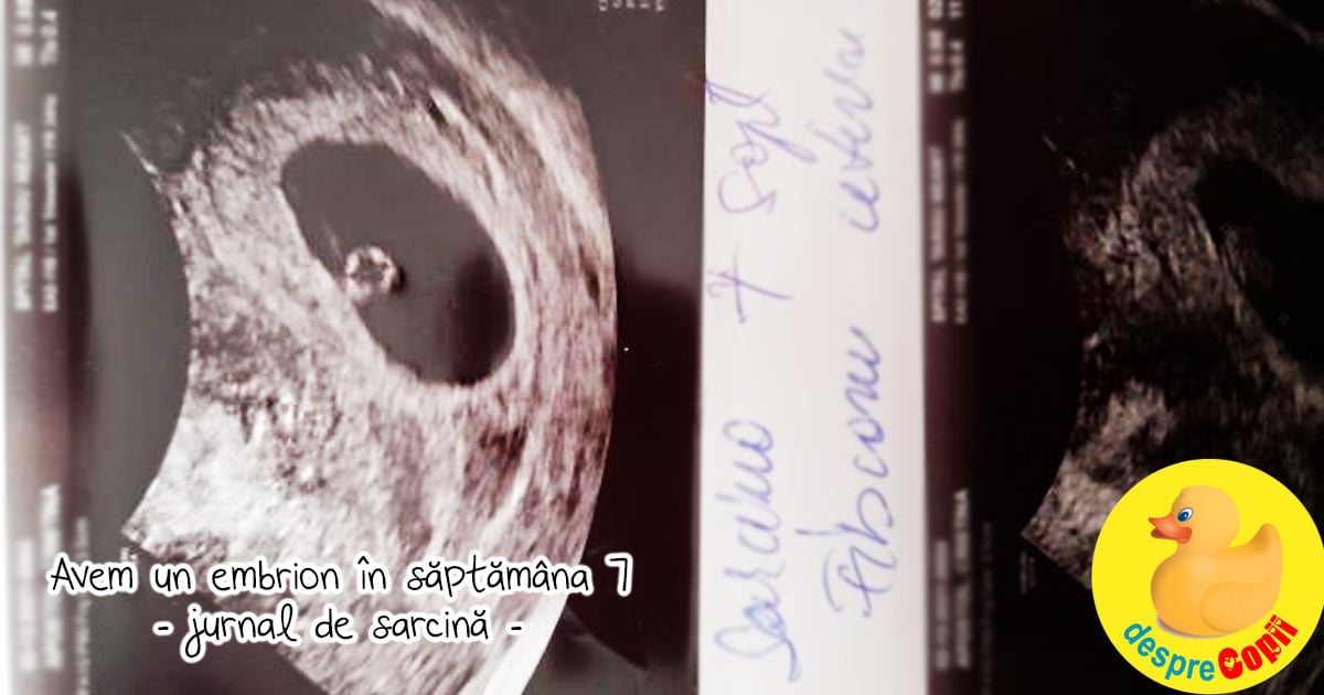 Vine bebe 2: avem un embrion in saptamana 7 dupa 2 saptamani care au trecut cat in doi ani - jurnal de sarcina