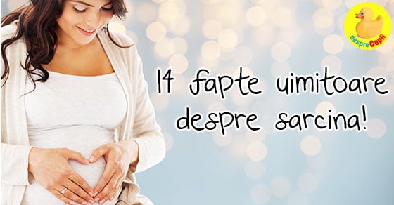 14 fapte uimitoare despre sarcina