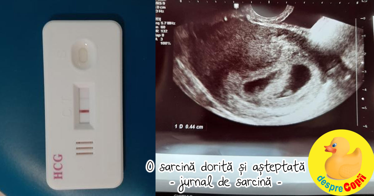 O sarcina dorita si asteptata -  inceput de provocari - jurnal de sarcina