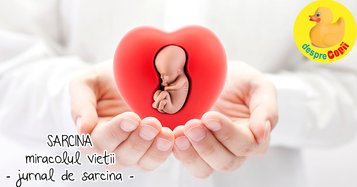 Sarcina este miracolul vietii - jurnal de sarcina