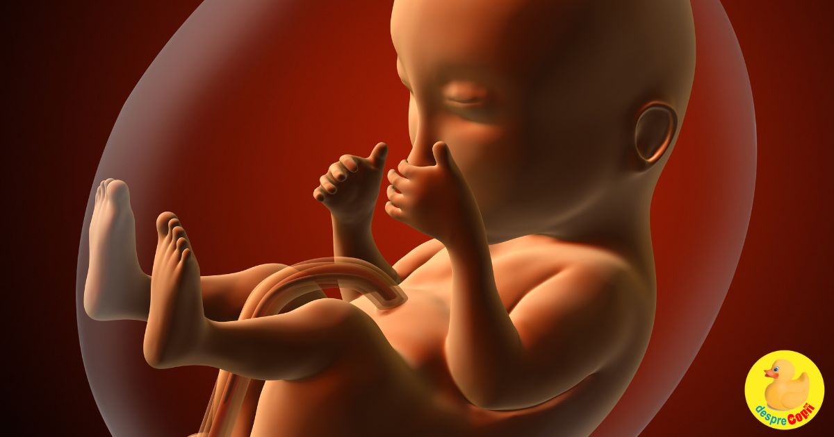 In burtica mamei -  dezvoltarea vederii bebelusului