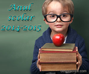 Structura anului scolar 2014-2015