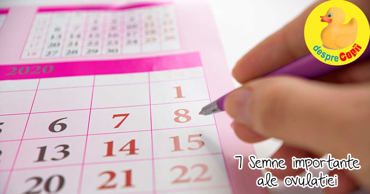7 semne care anunta ca ovulezi si 3 semne care spun ca nu!