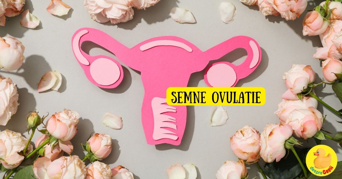 7 semne care anunta ca ovulezi si 3 semne care spun ca nu!