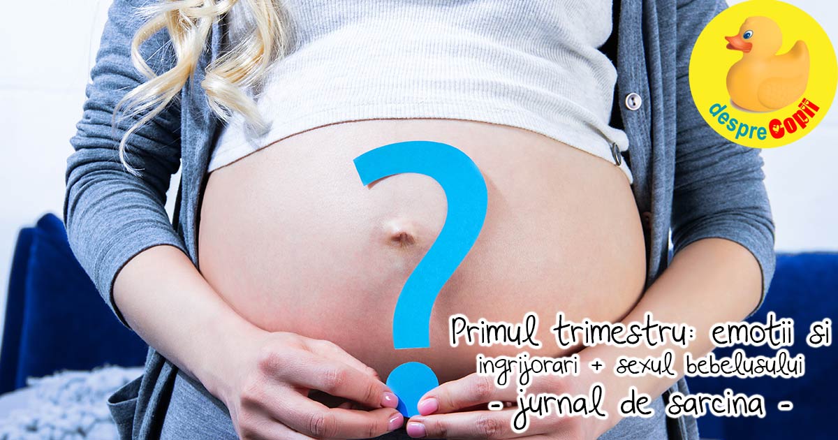 Primul trimestru de sarcina si sexul bebelusului - jurnal de sarcina