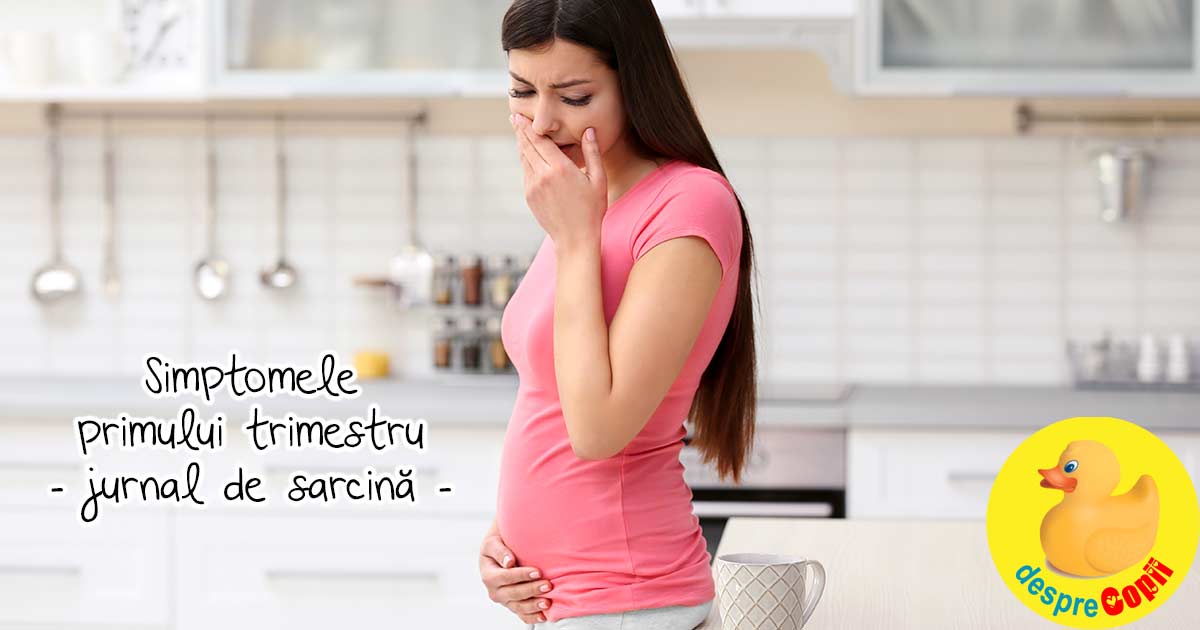 Simptomele primului trimestru de sarcina - jurnal de sarcina