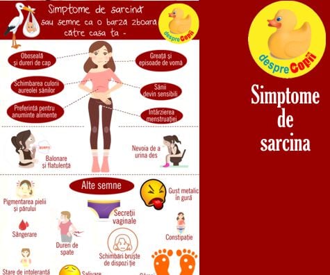 17 Simptome de sarcina -  toate semnele care anunta o sarcina in infografic complet