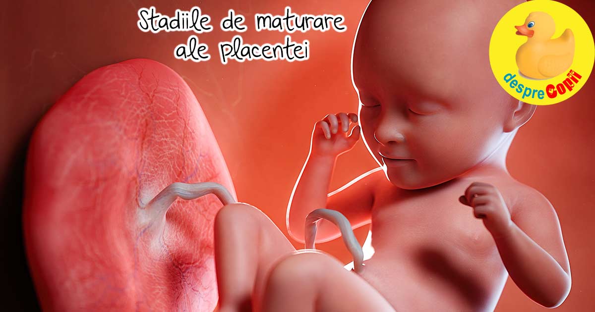Stadii de imbatranire ale placentei