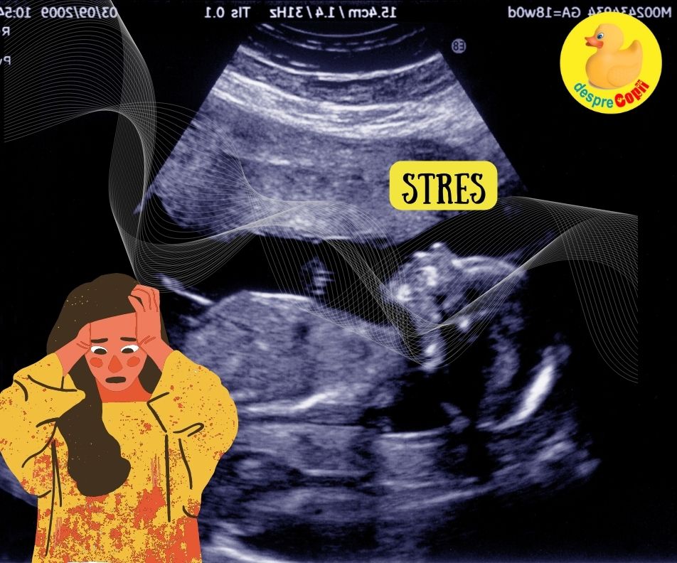 4 Efecte ale stresului in sarcina asupra fatului