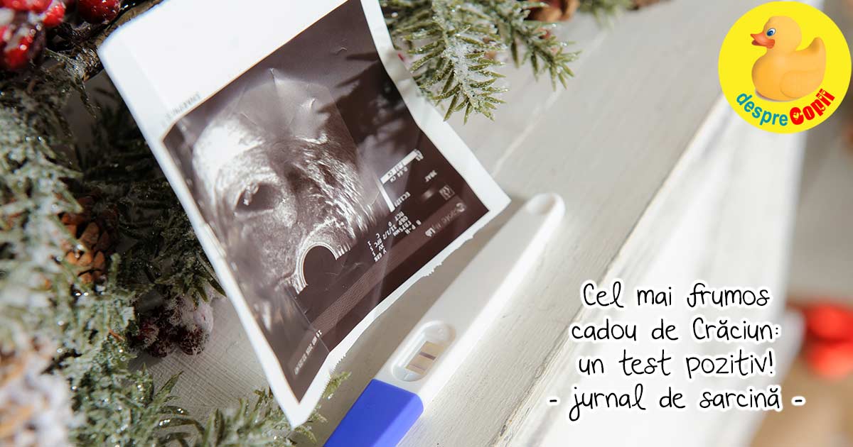 Cel mai frumos cadou de Craciun: un test pozitiv - jurnal de sarcina