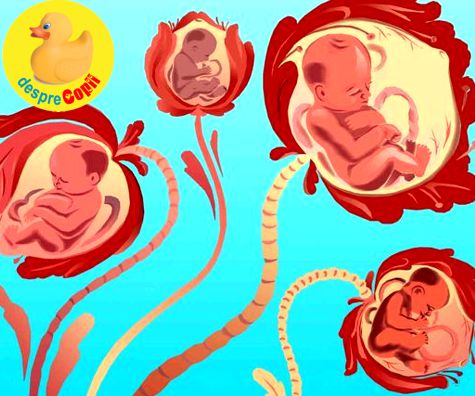 Testele prenatale: privire generala