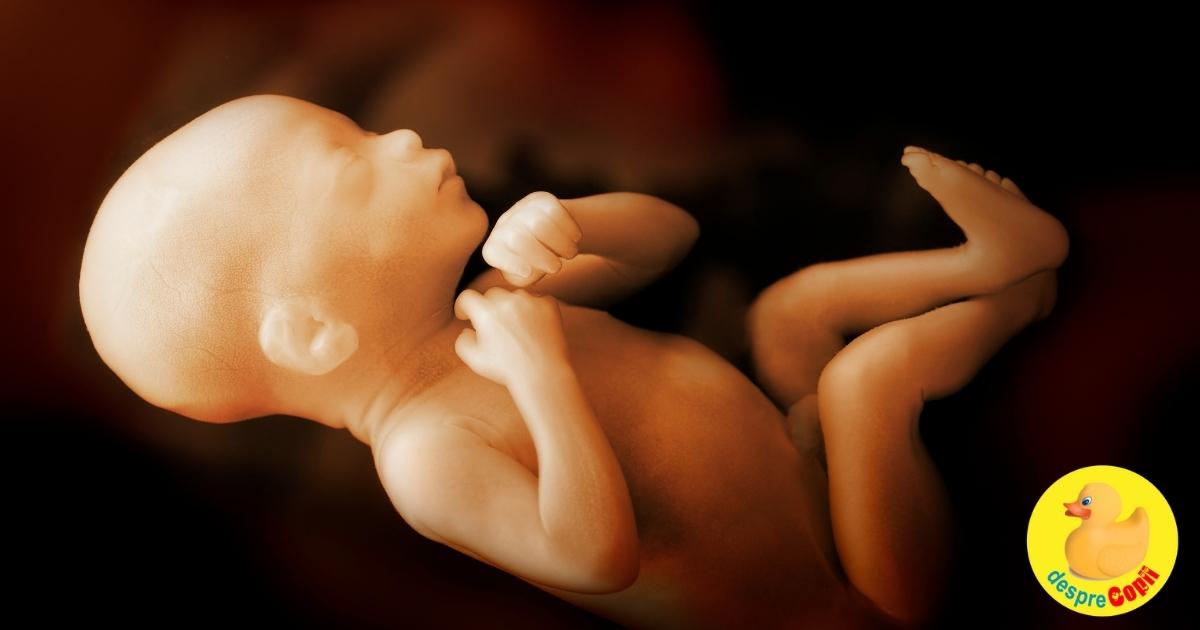 Bebelusii prematuri: oare bebelusii prematuri incearca sa scape de burtica mamei?