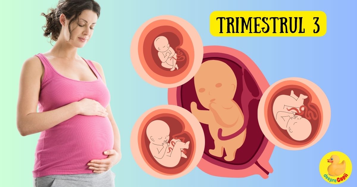 Al treilea trimestru de sarcina - trimestrul in care bebe si mami cresc vertiginos -  simptome specifice si dezvoltare pe saptamani