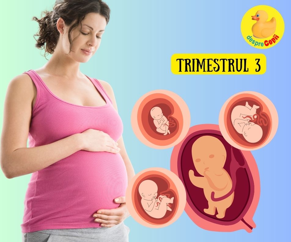Al treilea trimestru de sarcina - trimestrul in care bebe si mami cresc vertiginos -  simptome specifice si dezvoltare pe saptamani