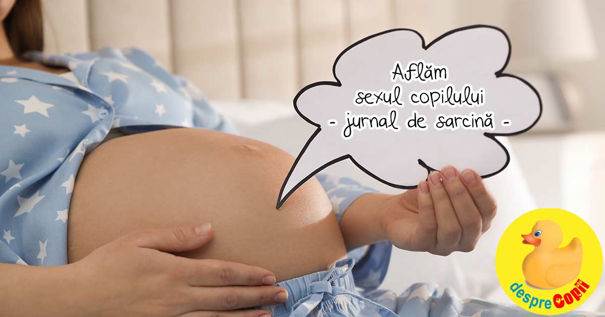 Incepem trimestrul II de sarcina si aflam sexul copilului - jurnal de sarcina