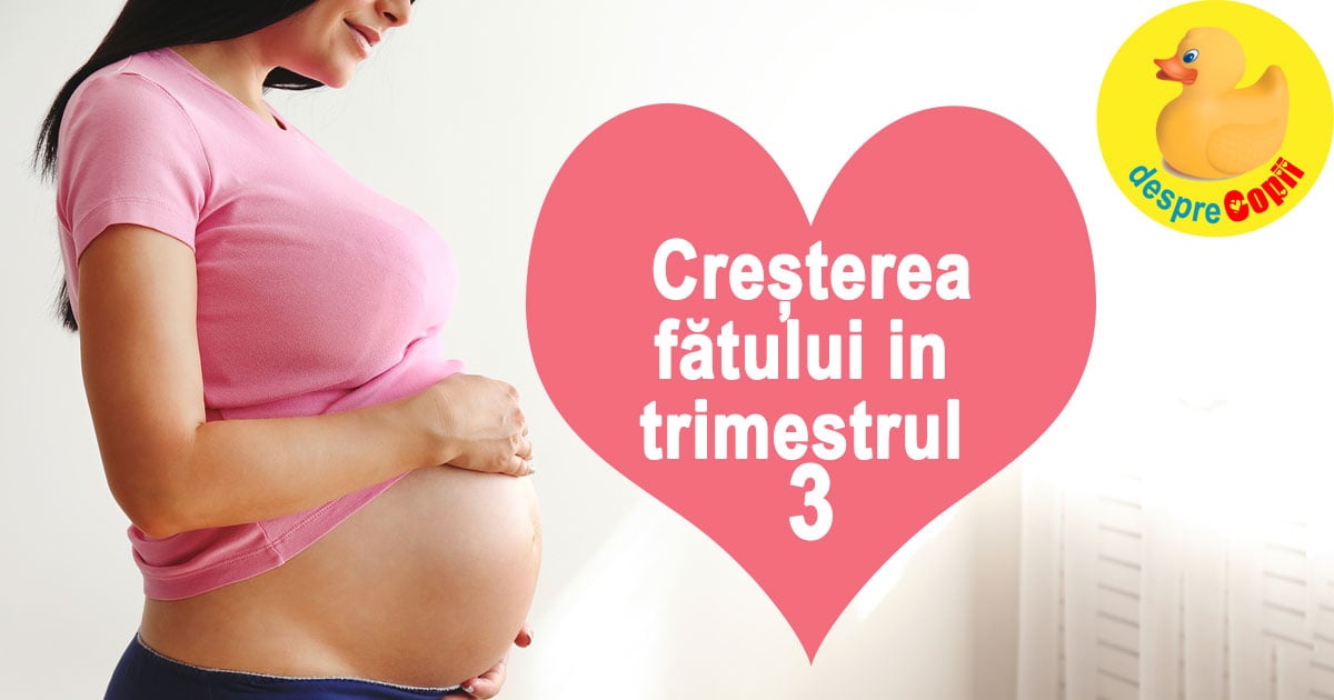 Cresterea fatului in trimestrul al treilea de sarcina - iata ce frumos creste