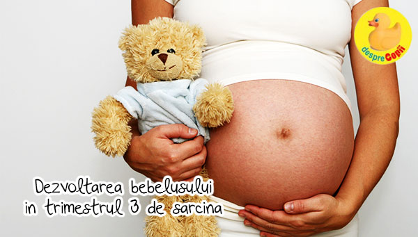 Cresterea fatului in trimestrul al treilea de sarcina
