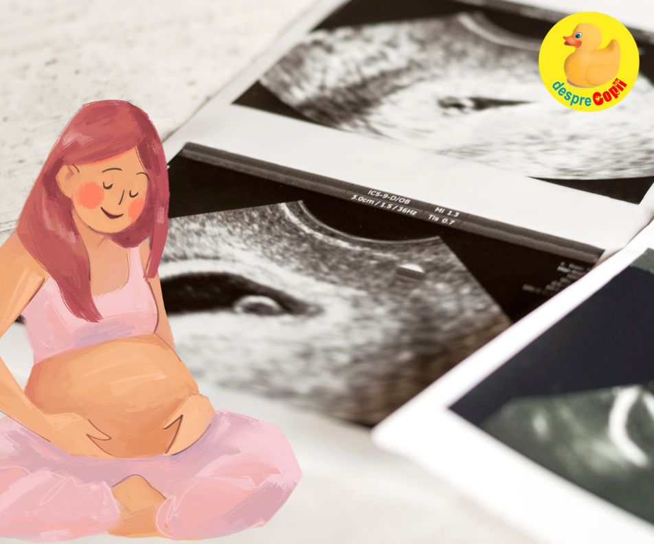 Primul trimestru: saptamanile 1-13 cu stres, ganduri, ingrijorari - jurnal de sarcina