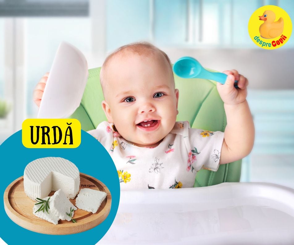 Urda in alimentatia bebelusului – cand, cum si de ce sa o introduci