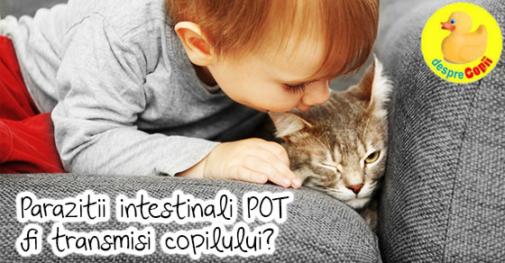 Parazitii intestinali ai animalelor de companie pot fi transmisi copilului