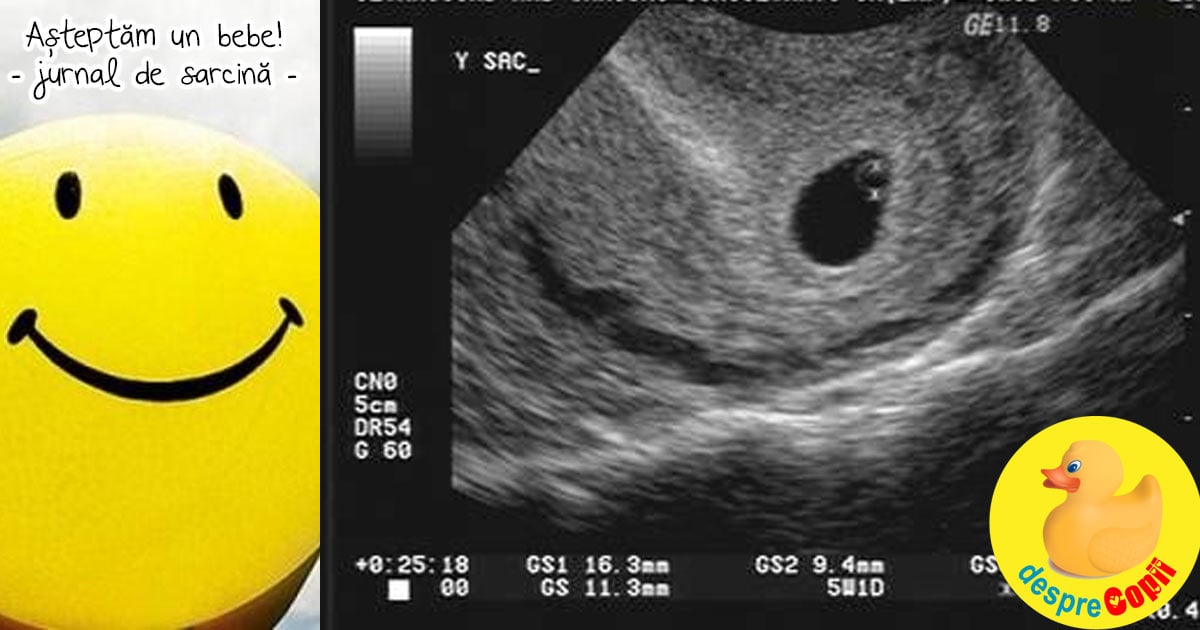 Asteptam un bebe! Suntem fericiti si am anuntat vestea pe o cutie de pizza - jurnal de sarcina
