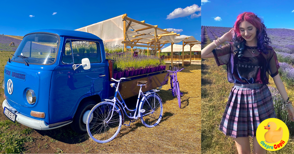 Vino si tu cu familia la cel mai aromat festival din Romania - in lanul de lavanda, la Blumfest Cluj