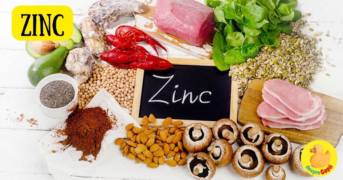 Zincul in alimentatie: importanta, surse si dozare al acestui mineral campion al imunitatii