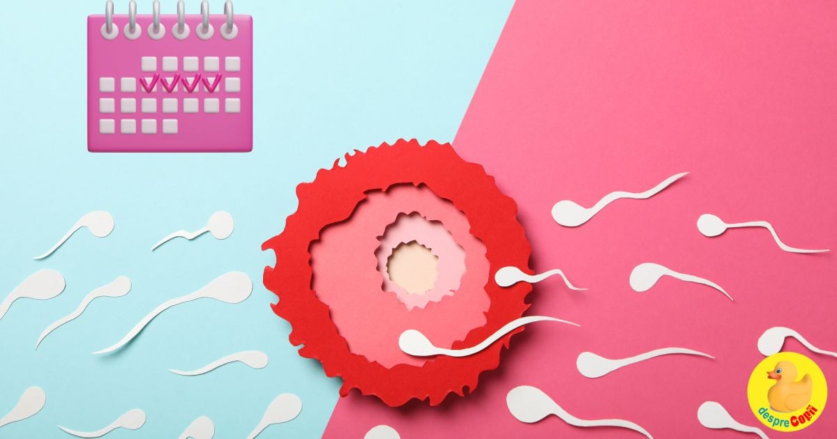 Ce se intampla daca faci sex in ziua in care ovulezi?