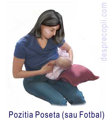 POZITIA POSETA