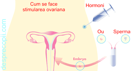 Stimularea Ovariana Ce Este Cum Decurge Si Ce Riscuri Are