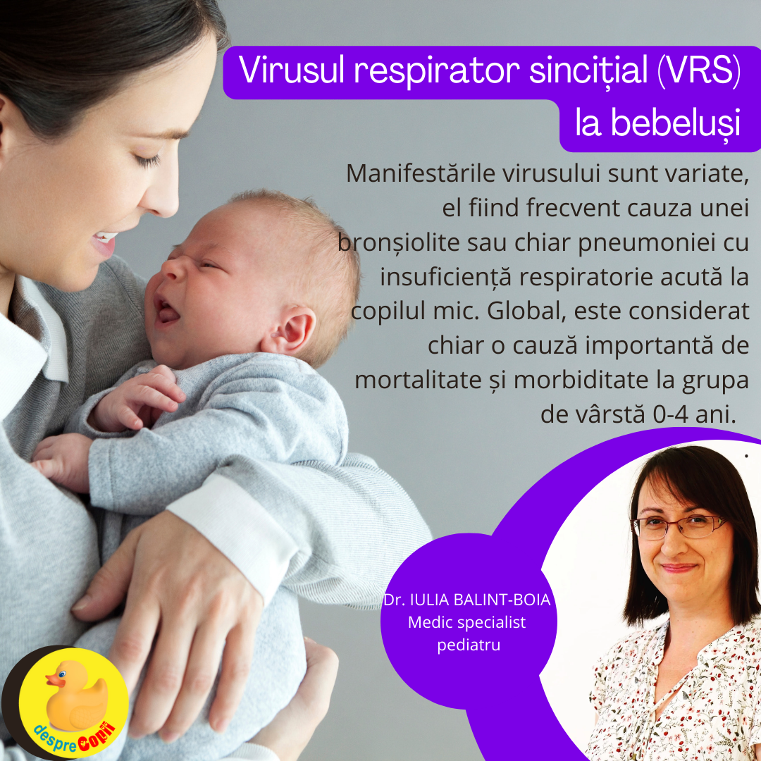 virus respirator sincitial