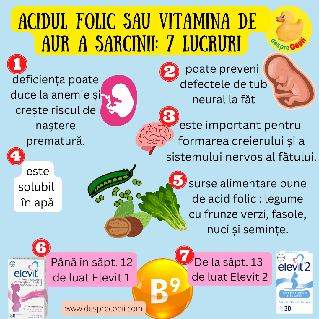 acid folic sarcina
