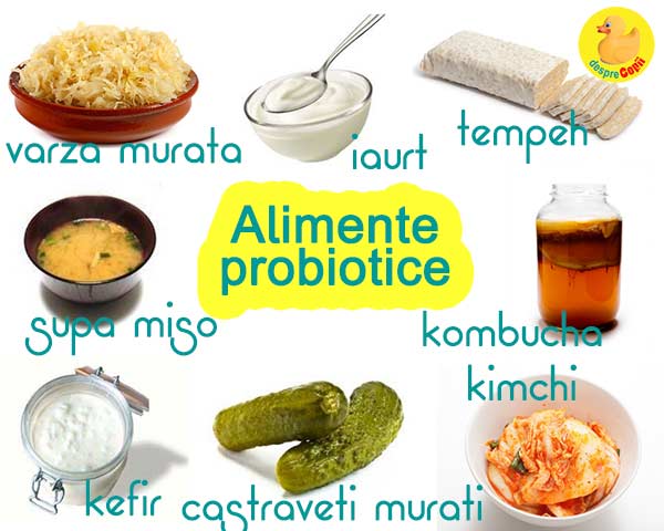 alimente probiotice