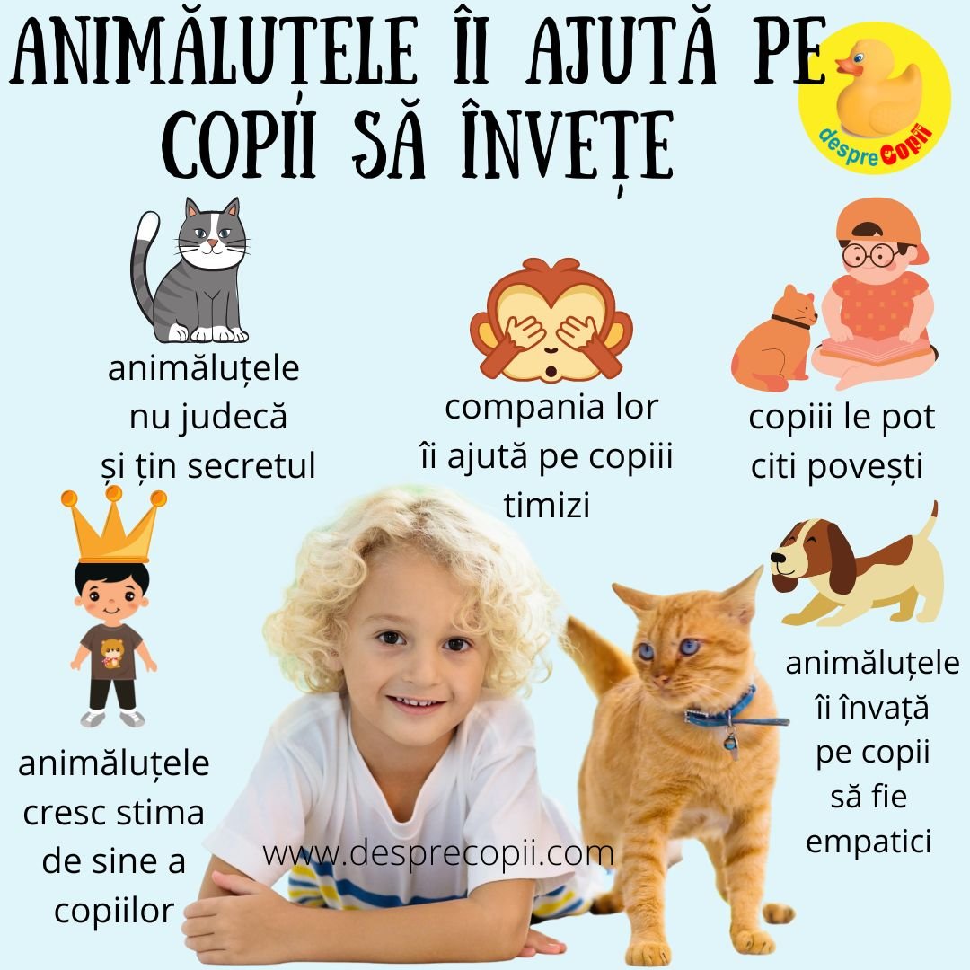 animale de casa copii