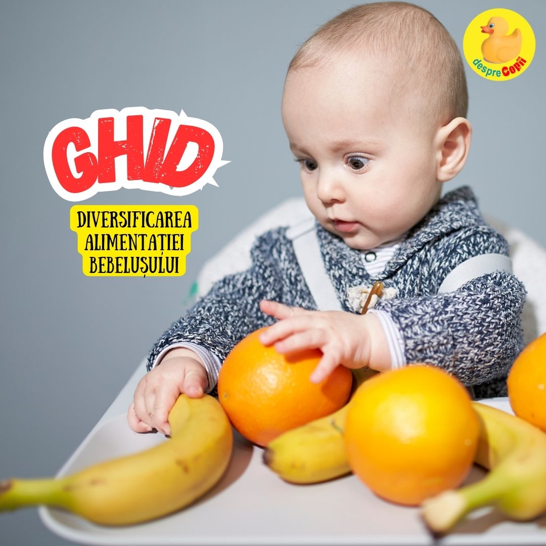 diversificarea bebelusului retete ghid