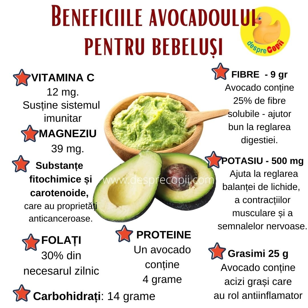 avocado informatii nutritionale